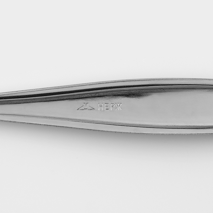 Ложка столовая «Силуэт», длина 20 см, толщина 1 мм, упрощённой обработки, цвет серебряный Ложка столовая «Силуэт», длина 20 см, толщина 1 мм, упрощённой обработки, цвет серебряный