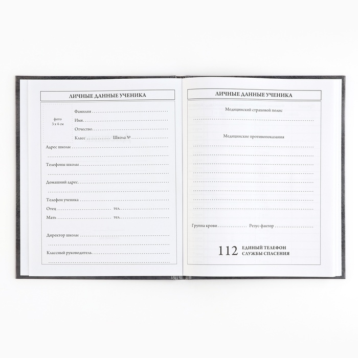 Дневник школьный 5-11 класс, в твердой обложке, 48 л. &laquo;Россия&raquo;