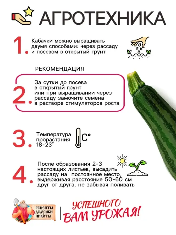 Семена Кабачок цукини  Семена Кабачок цукини "Зебра", 2 г