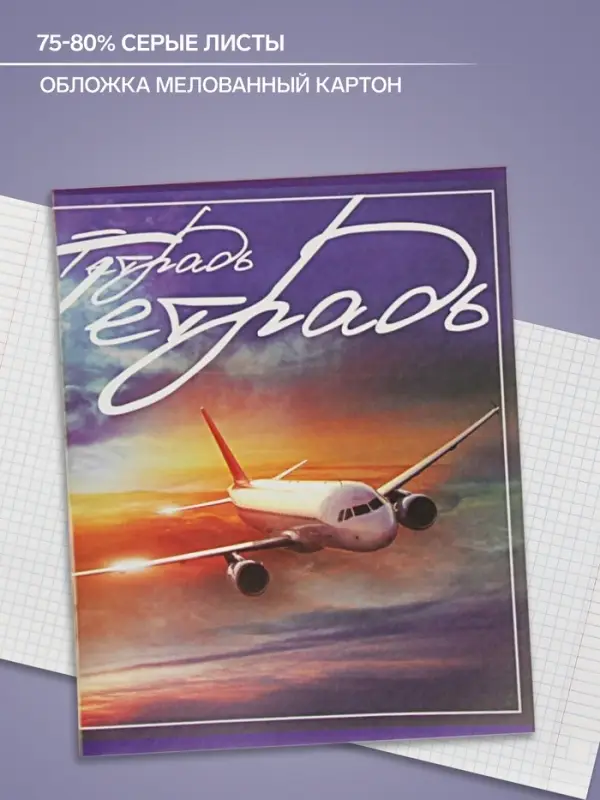 Тетрадь 48 листов в клетку Calligrata «Самолеты», обложка мелованный картон, блок №2, белизна 75% (серые листы), МИКС