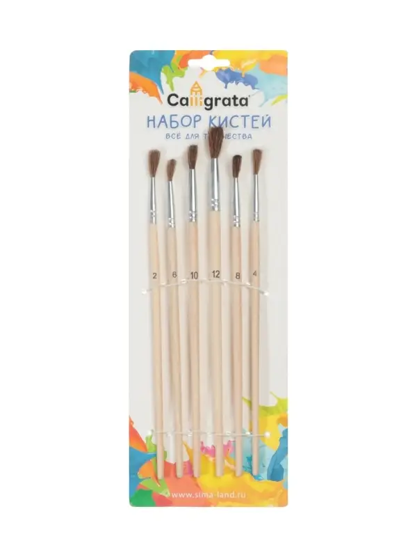 Набор кистей для рисования, пони, 6 штук: № 2, 4, 6, 8, 10, 12, круглые, деревянная ручка, международный размер