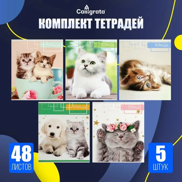 Тетради 5 штук, 48 листов в клетку Calligrata &laquo;Котята&raquo;, обложка мелованный картон, блок офсет