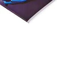 Альбом для рисования Calligrata А4, 20 листов, на скрепке, МИКС