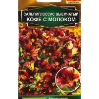 Семена цветов Сальпиглоссис Кофе с молоком (драже в пробирке) Золотая серия, Ц/П,7 шт. Семена цветов Сальпиглоссис Кофе с молоком (драже в пробирке) Золотая серия, Ц/П,7 шт.