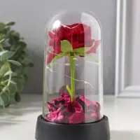 Фигурка световая колба RISALUX &laquo;Красная роза&raquo;, LED-ночник, 3&times;AG10, 8.5&times;8.5&times;15.5 см