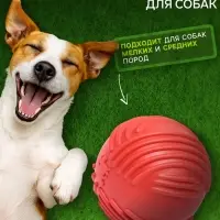 Мяч для собак &laquo;Суперпес&raquo;, 6.5 см, рифленый, TPR, красный