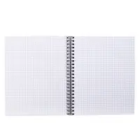 Компл тетр из 3шт 96л кл на гребне Яркие цветы, обл мел карт, глянц лам, офсет (10246949) Компл тетр из 3шт 96л кл на гребне Яркие цветы, обл мел карт, глянц лам, офсет (10246949)