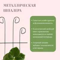 Шпалера, 40&times;18&times;0.3 см, металл, зелёная, &laquo;Узорная&raquo;