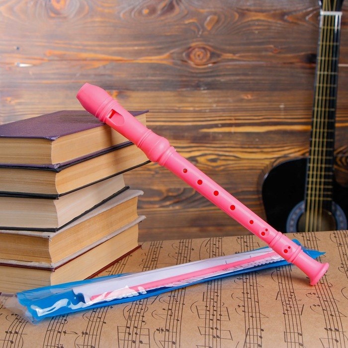 Блокфлейта Music Life, 8 отверстий, немецкая система, сопрано, розовая Блокфлейта Music Life, 8 отверстий, немецкая система, сопрано, розовая