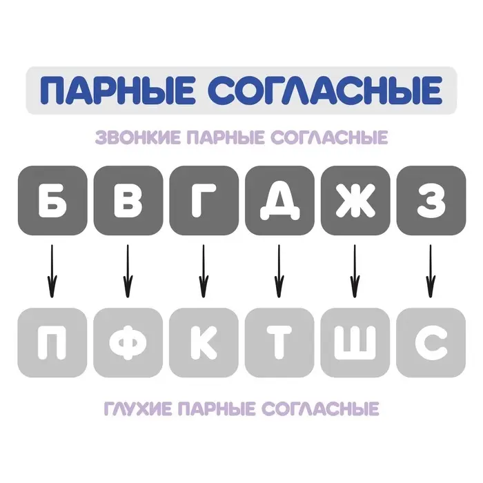 Веер-касса, парные согласные буквы, Calligrata, пакет с европодвесом Веер-касса, парные согласные буквы, Calligrata, пакет с европодвесом