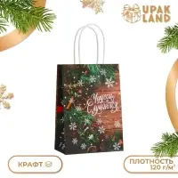 Пакет бумажный подарочный новогодний крафт «Чудеса» 15×21×8 см