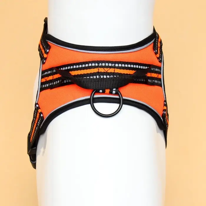 Шлейка улучшенная К7, размер S, ОГ 44-55 см, вес 5-9 кг, мягкая, светоотражающая, оранжевая