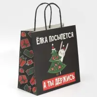 Пакет подарочный новогодний «А ты держись», 22 х 22 х 11 см Пакет подарочный новогодний «А ты держись», 22 х 22 х 11 см