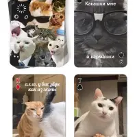 Игральные карты &laquo;Мемные котики&raquo;, 36 карт, 18+