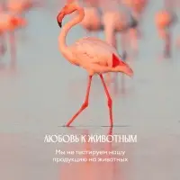 Гель-уход для душа Solzao peach beach, 400 мл