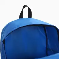 Рюкзак молодёжный на молнии, с карманом, однотонный, размер 29&times;12&times;39 см, синий
