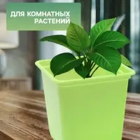 Горшок для рассады, 500 мл, 9&times;9&times;10 см, салатовый