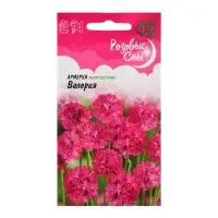 Семена Армерия "Валерия" (приморская), ц/п,0,02 г, Семена Армерия "Валерия" (приморская), ц/п,0,02 г,