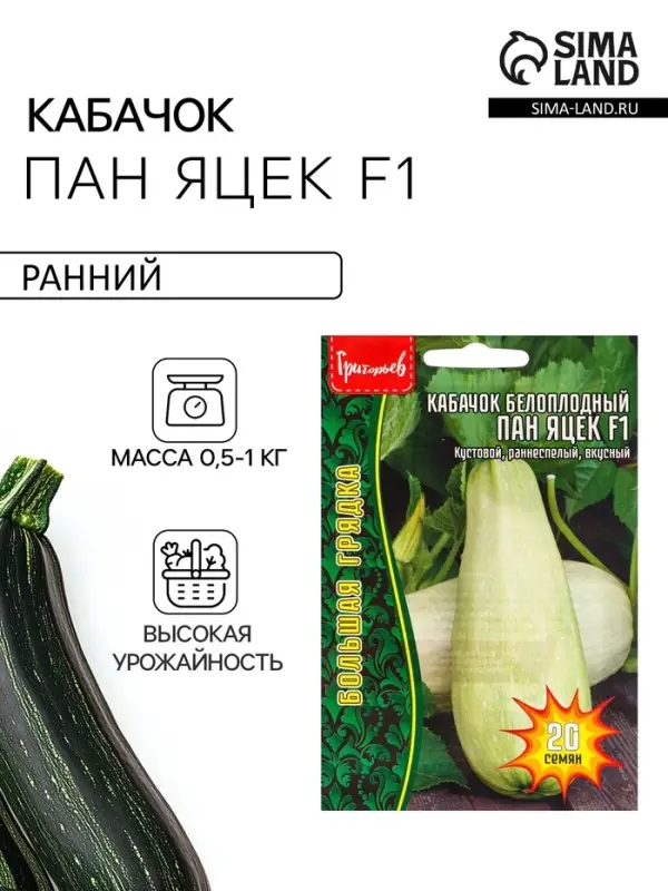 Семена цветов Кабачок белоплодный Пан Яцек F1  20 шт.  12.29 г.
