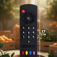 Обучающий пульт &laquo;Союзмультфильм&raquo;, 50 песен, стихов и звуков, на батарейках