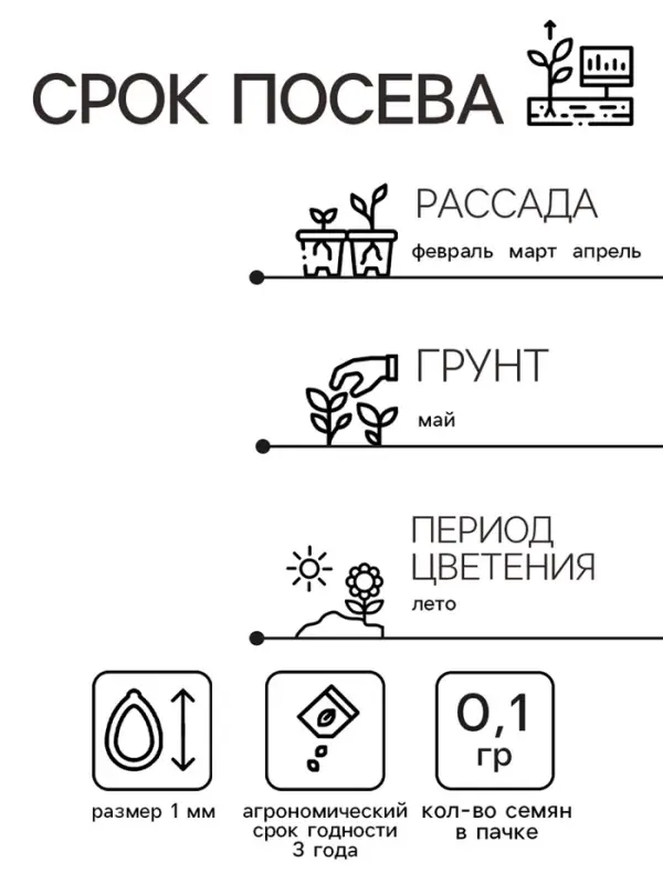 Семена цветов Колокольчик "ДИН-ДОН", Смесь, 0,1г