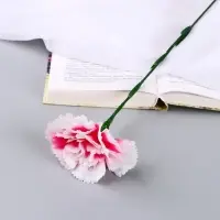 Цветы искусственные &laquo;Гвоздика экстра галант&raquo;, h=49 см, d=8 см, белые