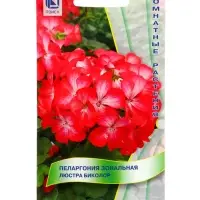 Семена цветов Пеларгония зональная "Люстра Биколор", 5шт.