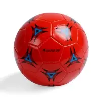 Футбольный мяч ONLYTOP, машинная сшивка, 32 панели, р. 5, PVC