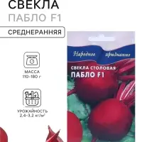 Семена Свекла &laquo;Пабло&raquo;, F1, 100 шт., &laquo;Дом семян&raquo;