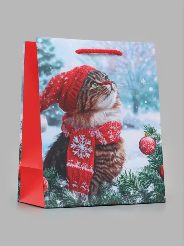 Пакет подарочный &laquo;Котик в красной шапке&raquo;, 18&times;10&times;22.3 см