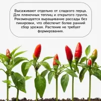 Семена Перец острый &laquo;Огненный флажок&raquo; 0.15 г, &laquo;Агросс&raquo;
