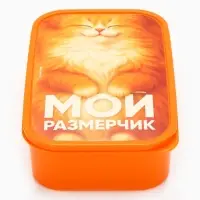 Ланч - бокс прямоугольный &laquo;Мой размерчик&raquo;, 1200 мл