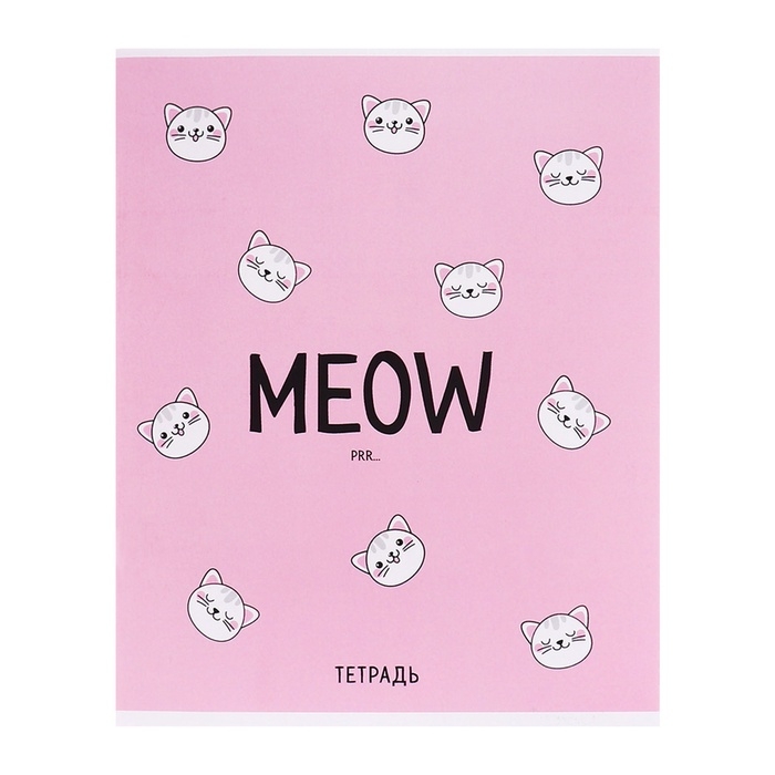 Тетрадь 48 листов в клетку Calligrata Meow, обложка мелованный картон, блок офсет, МИКС