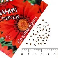 Семена цветов Гацания &laquo;Кисс F1 Бронз&raquo;, для балкона, веранды, цветника, однолетник, низкорослая7 шт.
