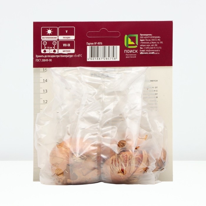 Гладиолус крупноцветковый «Пинк Ивент», луковица цветов в пакете с перфорацией, р-р 12/14, 5 шт.