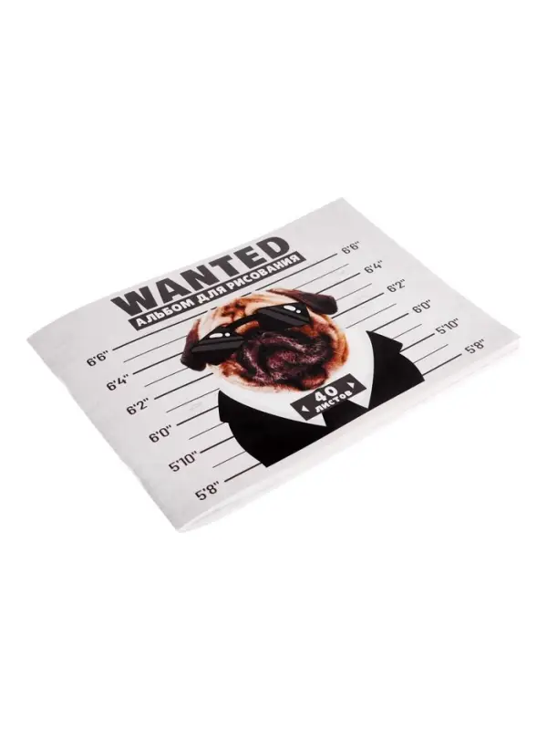 Альбом для рисования Calligrata А4, 40 листов, на скрепке, обложка из мелованного картона, МИКС