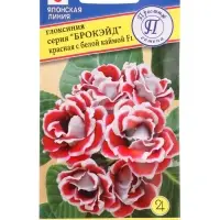 Семена цветов Глоксиния &laquo;Брокэйд&raquo; Красная с каймой F1, драже 10 шт.