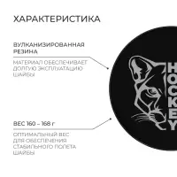 Шайба хоккейная Winter Star, взрослая, d=7.6 см