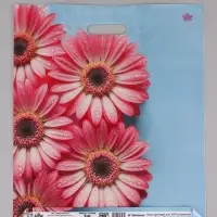 Пакет подарочный Герберы Шанис  45 х 38 см 55 мкм