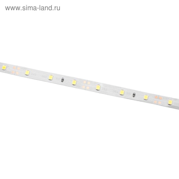 Светодиодная лента Ecola PRO 5 м, IP20, SMD3528, 60 LED/м, 4.8 Вт/м, 12 В, 4200К Светодиодная лента Ecola PRO 5 м, IP20, SMD3528, 60 LED/м, 4.8 Вт/м, 12 В, 4200К