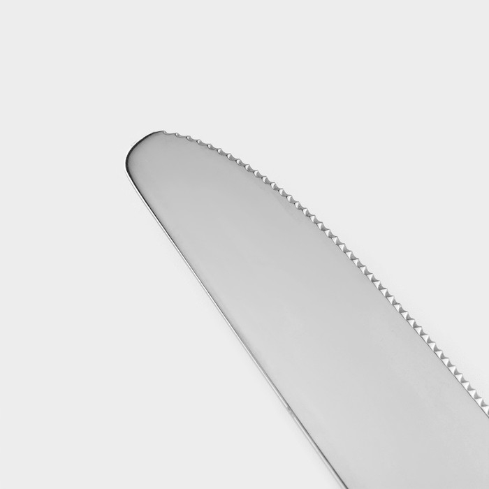 Столовые приборы из нержавеющей стали Magistro &laquo;Виконт&raquo;, 4 предмета, цвет cеребряный