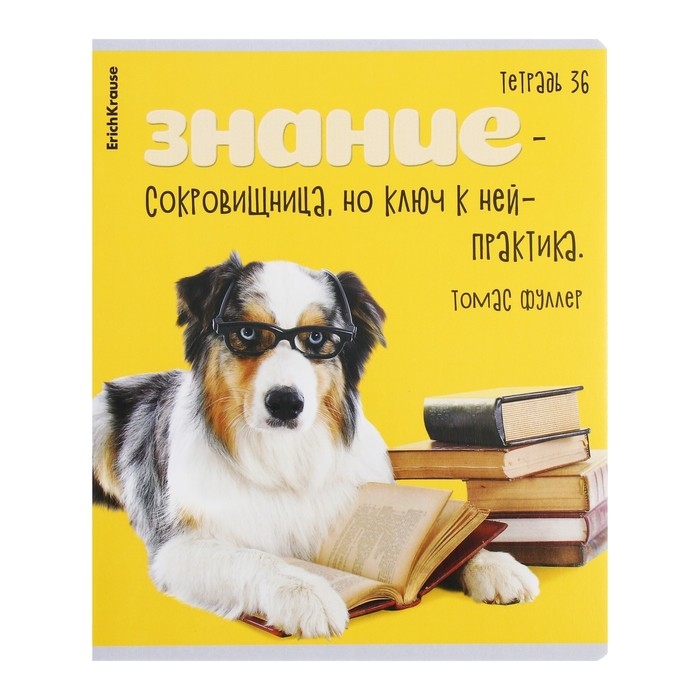 Тетрадь 36 листов в клетку, ErichKrause "Ученые собаки", обложка мелованный картон, блок офсет 100% белизна, МИКС