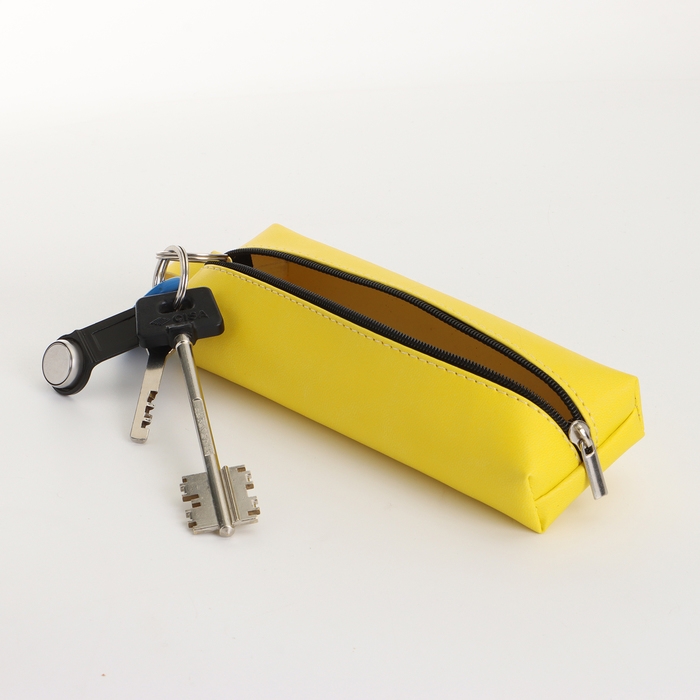 Ключница на молнии, длина 16 см, кольцо, карабин, цвет жёлтый Ключница на молнии, длина 16 см, кольцо, карабин, цвет жёлтый