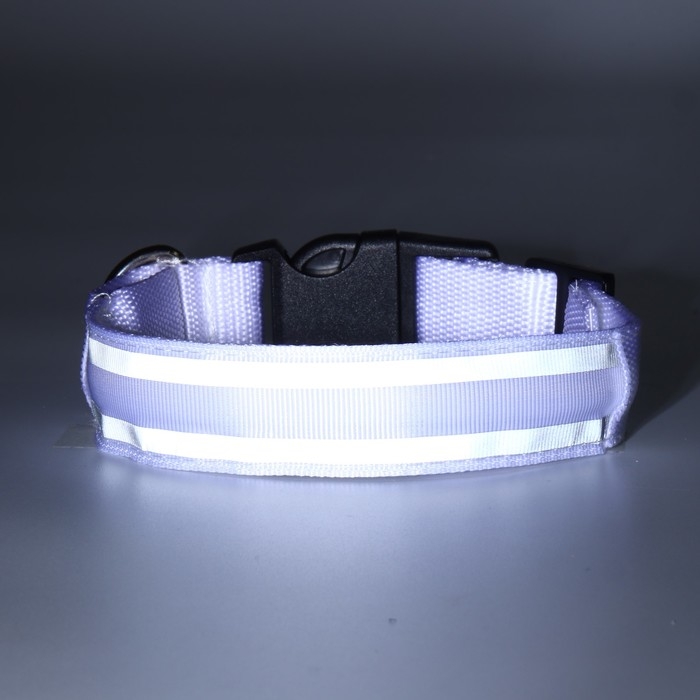 Ошейник с подсветкой Двойная полоса размер S, ОШ 35-43 х 2,5 см, 3 режима свечения белый Ошейник с подсветкой Двойная полоса размер S, ОШ 35-43 х 2,5 см, 3 режима свечения белый