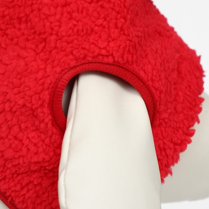 Новый год. Шапка для животных  Новый год. Шапка для животных "Колпак", размер S(ОМ 15 см, длина 15 см), красный