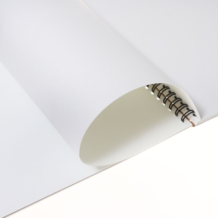 Альбом для акварели А4, 20 листов, блок 180 г/м&sup2;, на спирали, Erich Krause "Birds", экстра белая, твердая подложка, перфорация для отрыва