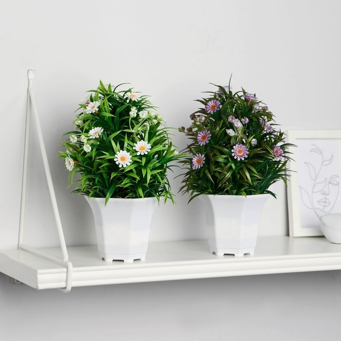 Бонсай в горшке Бонсай в горшке "Ромашка нивяник" 11х22 см, микс