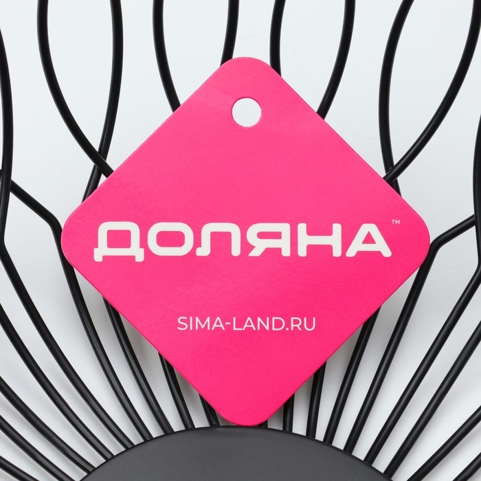 Фруктовница Доляна «Маргаритка», 27×27×9 см, цвет чёрный Фруктовница Доляна «Маргаритка», 27×27×9 см, цвет чёрный