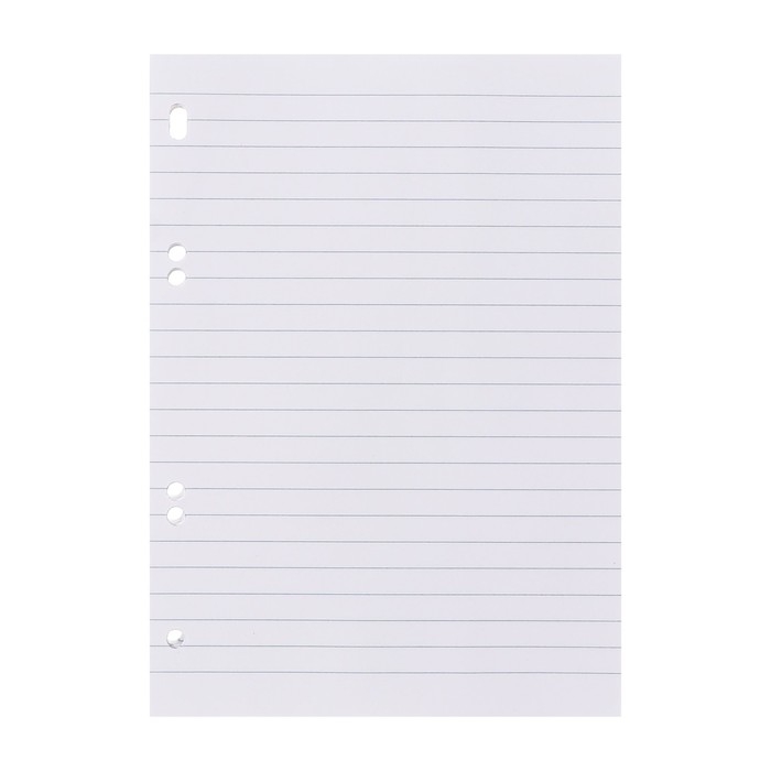 Сменный блок для тетрадей на кольцах А5, 80 листов в линейку, в индивидуальной упаковке, блок 60 г/м2 Сменный блок для тетрадей на кольцах А5, 80 листов в линейку, в индивидуальной упаковке, блок 60 г/м2