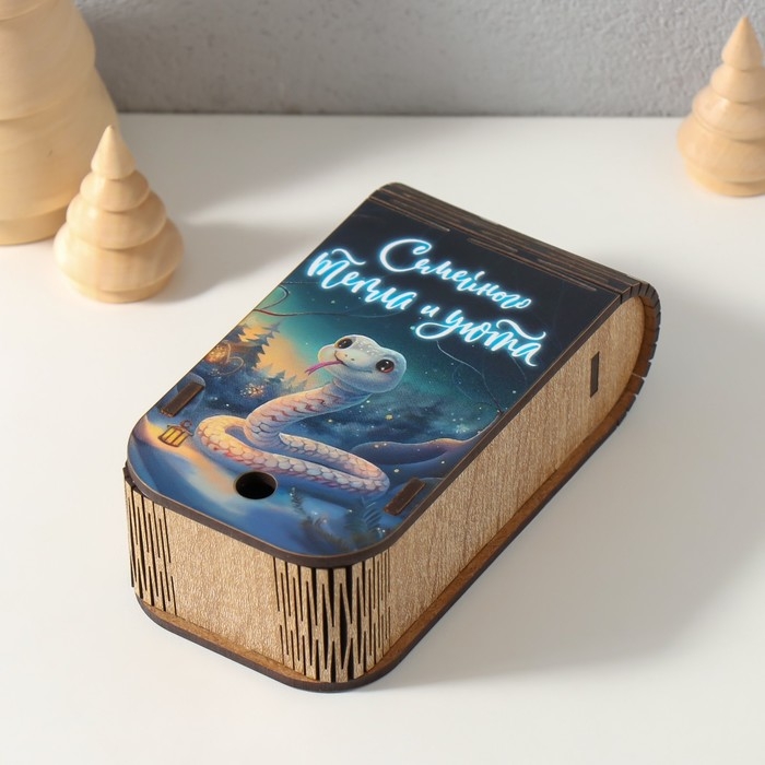 Новогодняя шкатулка-книга  Новогодняя шкатулка-книга "Змея. Семейного тепла" 13х7х4 см